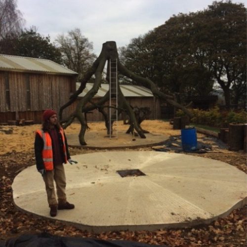 The Sand Play Tree Crowns are moved into place, Wicksteed Park