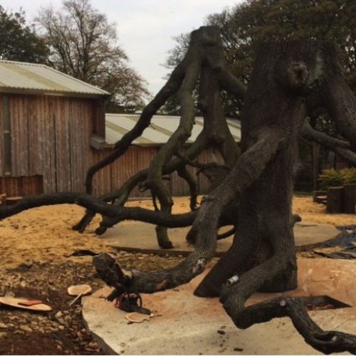The Sand Play Tree Crowns are moved into place, Wicksteed Park